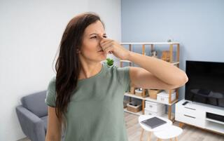 ריחות של טקסי טיהור חדרו לשכנים