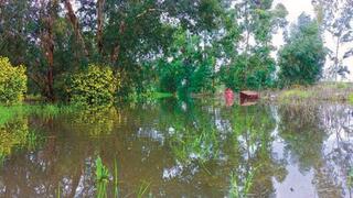 בריכת החורף ליד רחובות 