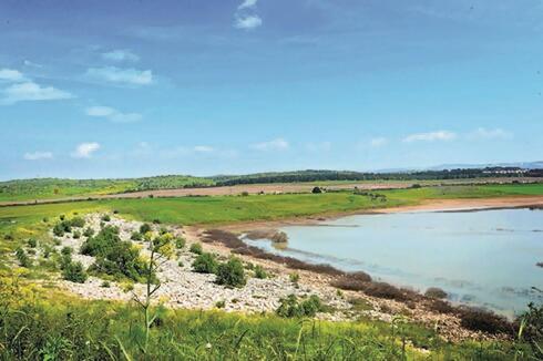 מאגר יער לח"י